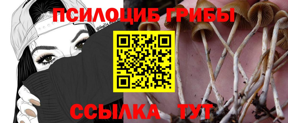 Галлюциногенные грибы GOLDEN TEACHER  Псилоцибиновые грибы мухоморы  Городец  Вход с VPN 